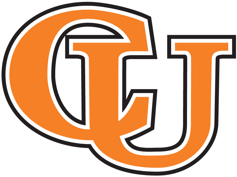 Campbell Fighting Camels 2005-2007 Wordmark Logo diy iron on heat transfer